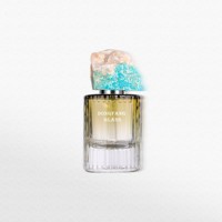 Bouteille de parfum au design personnalisé de 50ml en vrac flacons de parfum vides en verre avec bouchon en pierre