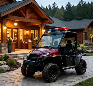 Buggy utilitaire tout-terrain 602C, véhicule robuste pour la patrouille des parcs géologiques en montagne. - Product Image 1