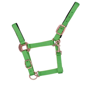 Premium Sale Highest Demanding Sports Equestrian Horse Control Use Nylon Halters Sturdy Practical Nylon Horse Halter In Low MOQ - Product Image 6