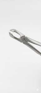Forceps d'extraction dentaire pédiatrique en acier inoxydable certifié ISO – Instrument chirurgical manuel robuste pour l'extraction dentaire - Product Image 3