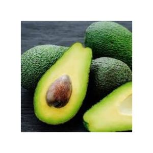 Aguacate fresco de alta calidad exportado de Vietnam - Product Image 3