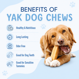 Premium Himalayan Yak Chews for Dogs Extra Hard & Long Lasting Natural Dog Chews OEM ODM Private Label and Custom Packaging - Product Image 4