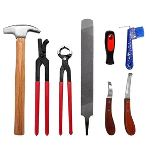 Juego de 8 piezas de herramientas para reparar herraduras, juego de clavos para herraduras - Product Image 1