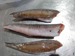 Halibut Congelado al por Mayor de Primera Calidad, Exportación a Granel, Grado Alimenticio, Stock Disponible, Suministro de la Mejor Calidad - Product Image 3
