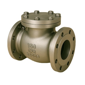 Válvula de Retención Industrial de Acero Inoxidable de Alta Resistencia, Válvula de Retención de Acero Inoxidable Tipo No Retorno, Válvula Industrial - Product Image 3