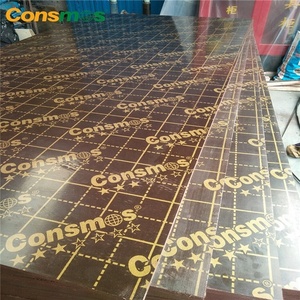 Compensato filmato di grado 1 con giunzione a dita, colla WBP, impermeabile, verniciato - Product Image 6