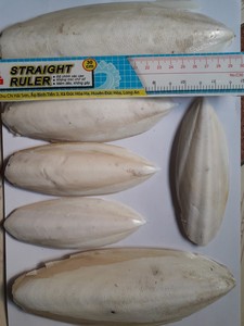 Hueso de Sepia en Polvo de Alta Calidad, Harina de Hueso de Sepia Molido para Alimentación y Uso Médico, Limpiado, Alta Pureza, Proveedor Mayorista - Product Image 3