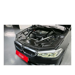 BMW Serie 5 530i XDrive Luxury Plus 2019, 78,354 km, Volante a la Izquierda, Caja de Cambios Automática, Asientos de Cuero, Estándar de Emisiones Euro V, Trasero - Product Image 6
