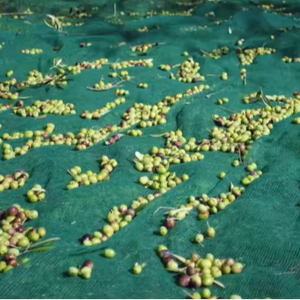 Service de moulage par soufflage industriel de filets de récolte d'olives en PEHD découpés sur mesure, 8G GSM, maille de 1 mm, noir - Product Image 1