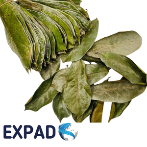 Viral Herbal Soursop Beverage Rich Aroma with Smooth Natural Detox Flavor Experience - Product Image 2