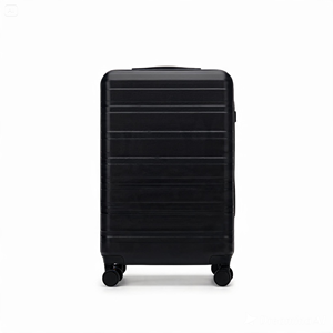 20 Inch Carry on Suitcase Lightweight ABS <b>PC</b> Spinner Luggage with TSA Lock Soft Handle for Travel Holiday - Product Image 3