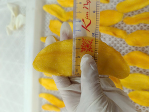 Palitos de Mango Seco Suave de 10-15 cm / Mango Seco Suave de Vietnam con Etiqueta Personalizada, Empaque a Granel de 5 kg para Fabricantes de Alimentos - Product Image 3