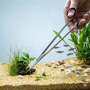Ciseaux d'aquascaping B-Fly écologiques en acier inoxydable de 10 pouces pour l'entretien des aquariums - Product Image 3