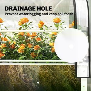 Indoor Garden Bed with Mini Greenhouse Tempered Glass and Polycarbonate Steel and Wood <b>Frame</b> for <b>Plant</b> Growing and Growth - Product Image 5