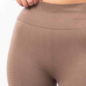 Ensemble de leggings et soutien-gorge de yoga grande taille sans coutures, maintien élevé, respirant, séchage rapide, devant beige, vêtements de sport pour femmes, entraînement, fitness, gym - Product Image 4