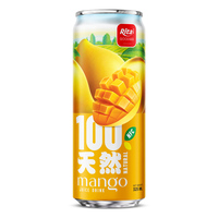 Rita R.fruit Peren Sap Drank 330ml Geblikte Fruitdrank Frisdrank Groothandel Leverancier OEM ODM Private Label Fabriek Exporteur