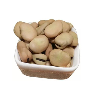 New crop dry Fava <b>bean</b>/ Fava <b>bean</b> /broad <b>bean</b> in shell for feeding fish , fish food - Product Image 4