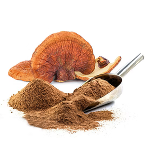 Polvo de Hongo Ganoderma Lucidum Reishi al por Mayor, Extracto Herbal de Primera Calidad para Té, Cápsulas y Alimentos Funcionales - Product Image 3