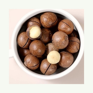 Proveedores de nueces macadamia crudas y secas al por mayor, precio de las nueces macadamia - Product Image 5