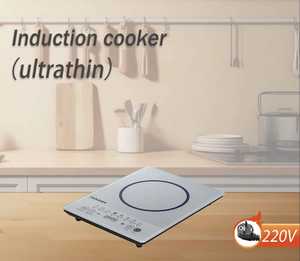 Cuisinière à induction portable étanche 2200W à brûleur unique avec plaque céramique robuste, 8 niveaux, pour usage extérieur et domestique - Vente en gros - Product Image 5