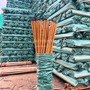 Nouvel ensemble de balais et pelle à poussière en bois d'eucalyptus enduit de PVC du Vietnam sac emballé modèle de FM-BR1 Fulmex.jsc respectueux de l'environnement - Product Image 5