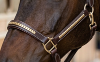 Cabestro para Caballo Clincher HM GLOBAL DD de Cuero con Adornos de Latón Dorado, Piezas para las Mejillas y Narigueira con Acolchado Suave, Duradero, Cómodo y Elegante