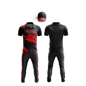 Fabricante de Uniformes de Cricket con Sublimación de Logotipo Personalizado |   Uniforme Completo de Cricket para Hombres, Mujeres y Jóvenes, Camiseta Polo y Pantalones - Product Image 1