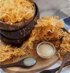 Alga Cottonii Seca de Alta Calidad, Nido de Pájaro Marino Premium para la Industria Alimentaria, Rong Sun Grueso y Crujiente de Vietnam - Product Image 1