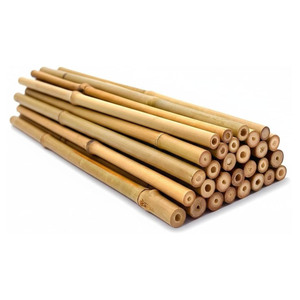 เสาไม้ไผ่คาร์บอนสำหรับตกแต่งต้นไม้ - Product Image 3
