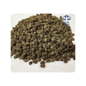 เมล็ดมะละกอแห้งคุณภาพเชื่อถือได้ ผ่านกระบวนการที่ถูกสุขอนามัย รสชาติเข้มข้น เหมาะสำหรับปรุงอาหารและปรุงรส ช่วยเพิ่มรสชาติให้กับอาหาร - Product Image 1