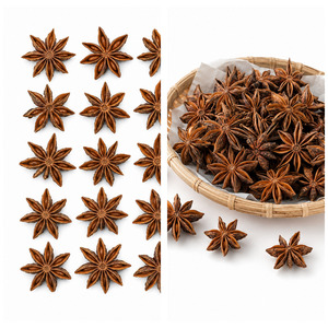 Best Selling Factory Price International Standard Vietnam Manufacturer Supply Star Anise Bulk Supply - Product Image 1