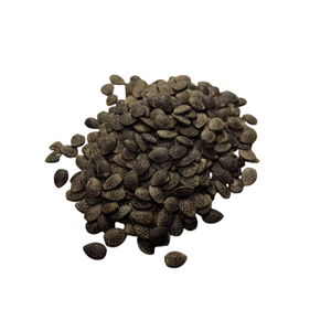 Vietnam Manufacturer Supply International Standard Pure Dried Passion Fruit <b>Seeds</b> <b>Packed</b> in 10kg Bag - Product Image 1