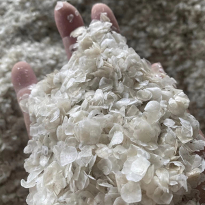 Escamas de Pescado al Mejor Precio de Vietnam para el Mercado Industrial Global - Product Image 1