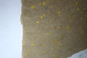 Papel de Regalo Personalizado al por Mayor, 80 g/m², Natural, Reciclado, Libre de Madera, con Pétalos de Flores, Compatible con Impresión Serigráfica, para Marcos de Fotos - Product Image 2
