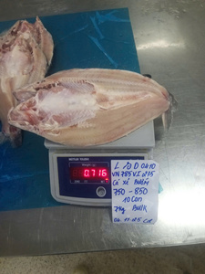 Filete de Pangasius Congelado de Vietnam, IQF, Grado Premium, con 0-20% de Cubierta de Hielo, Disponible con Piel o Sin Piel - Product Image 3