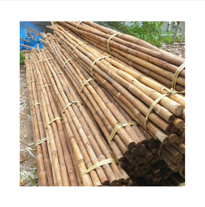Varas de Ratán Natural de 2-3 Metros de Largo y 2 Metros de Diámetro, Secadas al Aire, Origen Vietnam, Marca 99GD, 2 Años de Vida Útil - Product Image 1