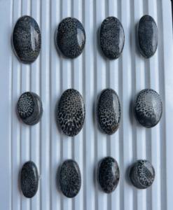 Hermoso Coral Fósil Negro 100% Natural, Cabujón de Piedra Preciosa Suelta, Excelente Accesorio de Joyería para la Fabricación de Colgantes y Anillos - Product Image 4