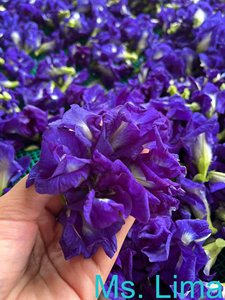 ราคาขายส่ง ดอกอัญชันแห้ง สีฟ้าธรรมชาติ ชาสมุนไพร เกรดอาหาร ผู้จัดจำหน่ายจากเวียดนาม/ คุณลิมา - Product Image 6