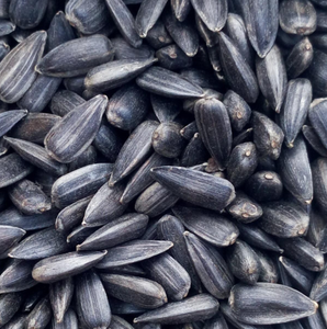 Graines de tournesol biologiques 300-450 USD/tonne pour barres protéinées, ingrédient naturel, approvisionnement en vrac, qualité alimentaire - Product Image 4