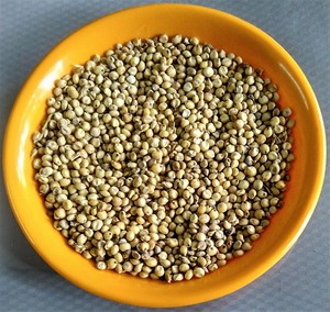 Granos de Sorgo Rojo Puro de Alta Calidad, Origen Francés, 2 Años de Vida Útil - Precio Mayorista Económico Disponible a Precio de Mayoreo - Product Image 3