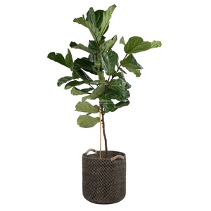 Cesta de Mimbre de Ratán de Primera Calidad, Solución de Almacenamiento y Decoración Tejida a Mano Natural de Vietnam, Venta al por Mayor - Product Image 4
