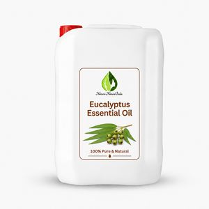 100% Pure Eucalyptus <b>Essential</b> <b>Oil</b> Steam Distilled Bulk Supplier Wholesale Manufacturer Exporter Aromatherapy Grade - Product Image 2