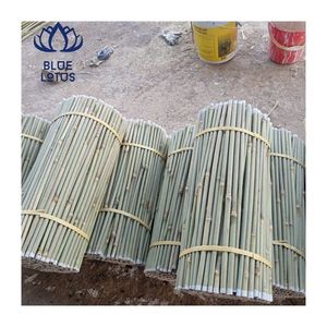 Varas de Bambú Aprobadas por el Cliente, Material Limpio para Estacas Agrícolas y Uso DIY, Duraderas, Lisas, Fáciles de Manejar, Confiables - Product Image 1