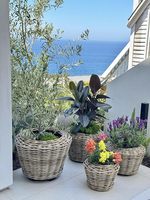 Panier à plantes en rotin naturel tressé à la main pour l'intérieur et l'extérieur, fabriqué par KingcraftViet