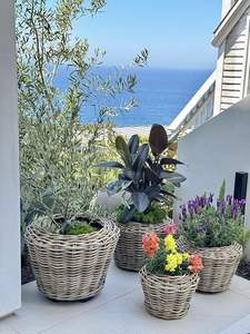 Cesta de Mimbre para Plantas, Maceta Natural Tejida a Mano para Uso en Interiores y Exteriores, Hecha por KingcraftViet - Product Image 5