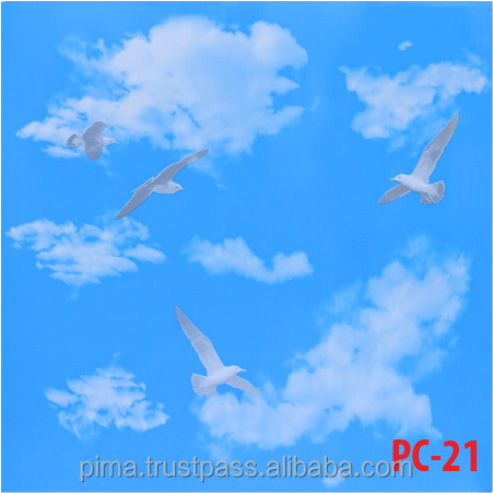 PC-21