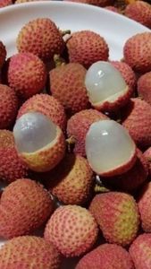 Litchis surgelés IQF du Vietnam – Fournisseur en gros VDELTA pour l'exportation - Product Image 2