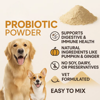 Poudre Probiotique Bio OEM/ODM pour Chiens et Chats – Soutien Digestif Naturel, Renforcement Immunitaire, Soutien Intestinal – 4 Milliards d'UFC – Action Rapide