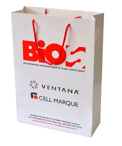 Bolsa de Compras de Papel con Asas de Cuerda Impresas Personalizadas, Bolsa de Transporte Eurotote Reciclable de Lujo con Logotipo Personalizado - Product Image 1