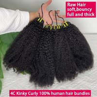 Extensions de cheveux humains bouclés afro 4C, tissage naturel noir non traité, cheveux vierges bruts pour femmes